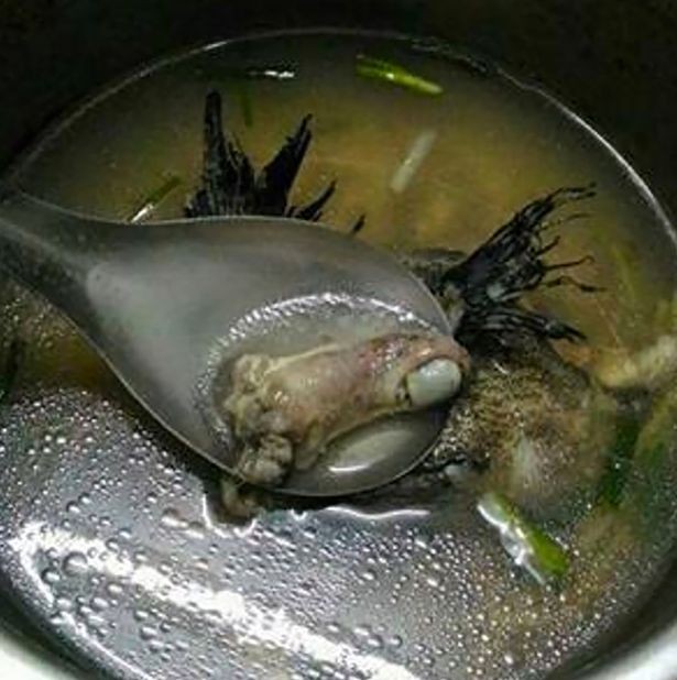 fish soup