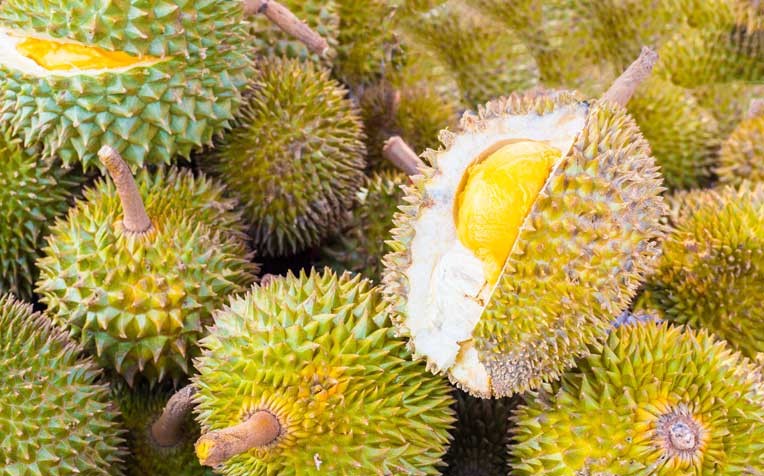 Durians song
