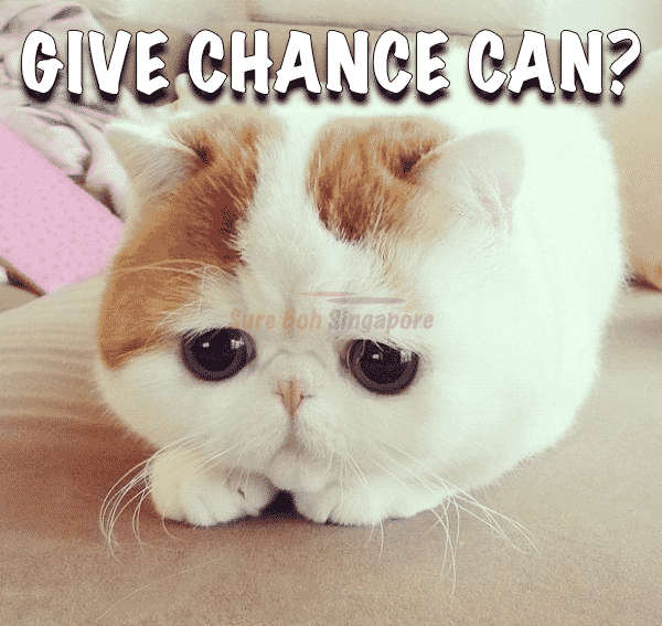 Give Chance Meme