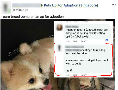 Guy in S’pore slammed for dodgy practices of selling his dogs in the name of adoption