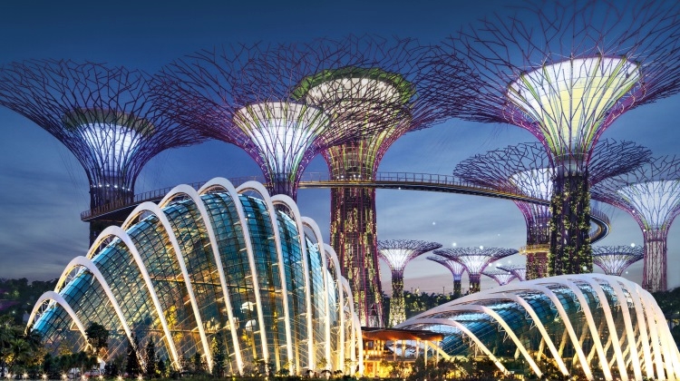 NTUC members to get free tickets to Gardens by the Bay.