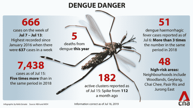 Dengue cases on the rise – more mosquitos or mutating virus?