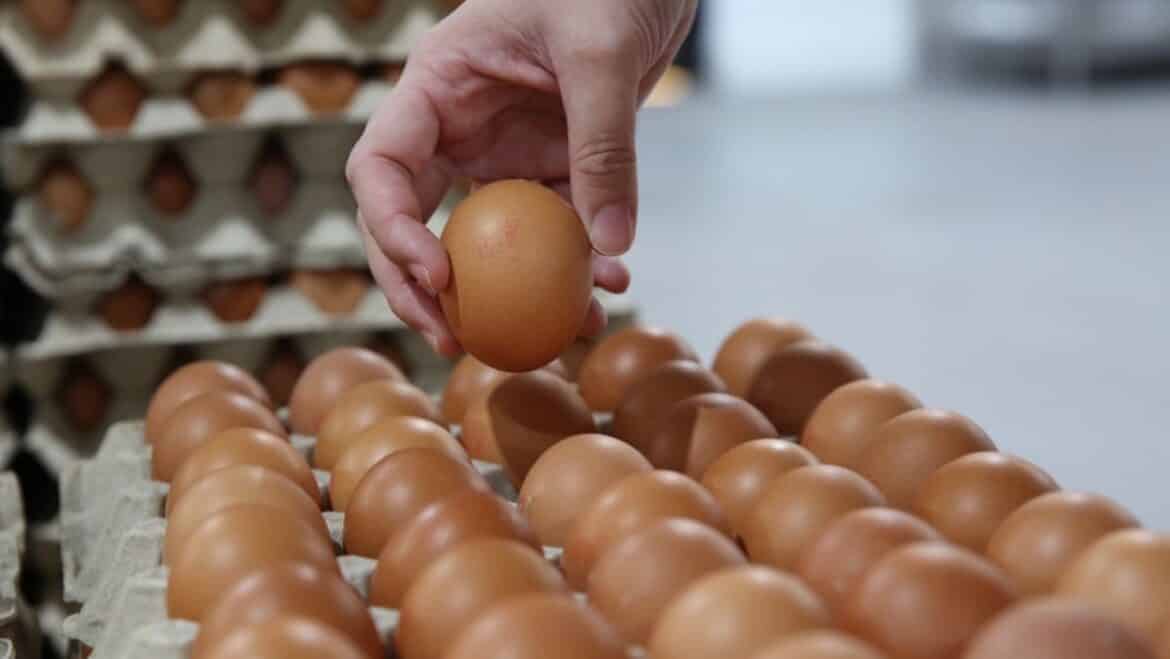 Giant announce they are dropping egg prices after NTUC FairPrice & Sheng Siong lowered theirs!