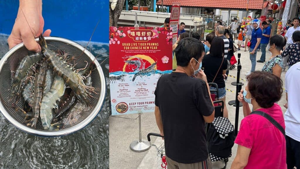 FairPrice’s first big-scale live prawn sale at car parks next to 3 outlets