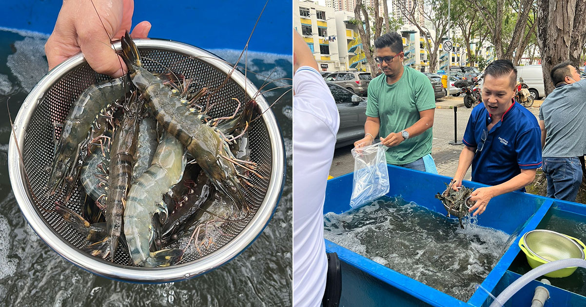 FairPrice’s first big-scale live prawn sale at car parks next to 3 outlets 