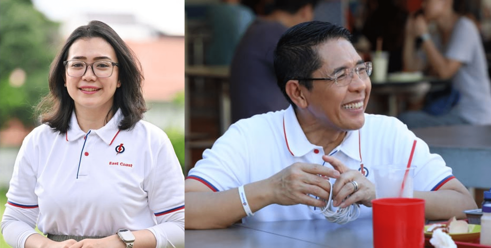 GE2025: Maliki Osman makes way for PAP newcomer Hazlina Abdul Halim in East Coast