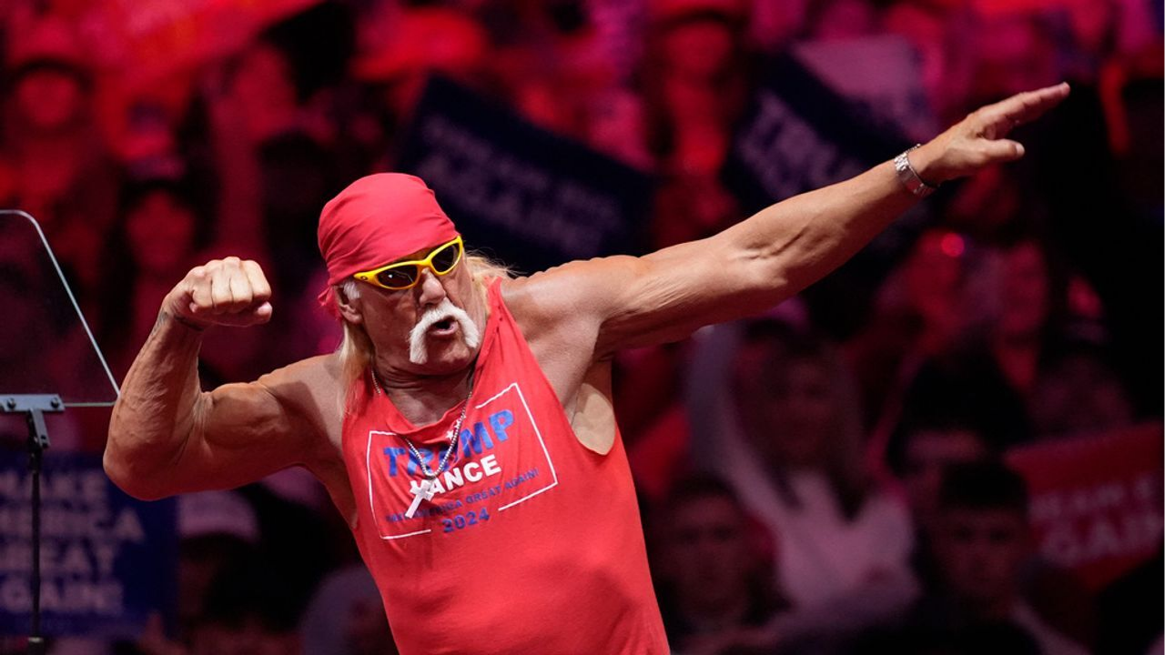 Terry Gene Bollea, Known as Hulk Hogan, Dies at 71