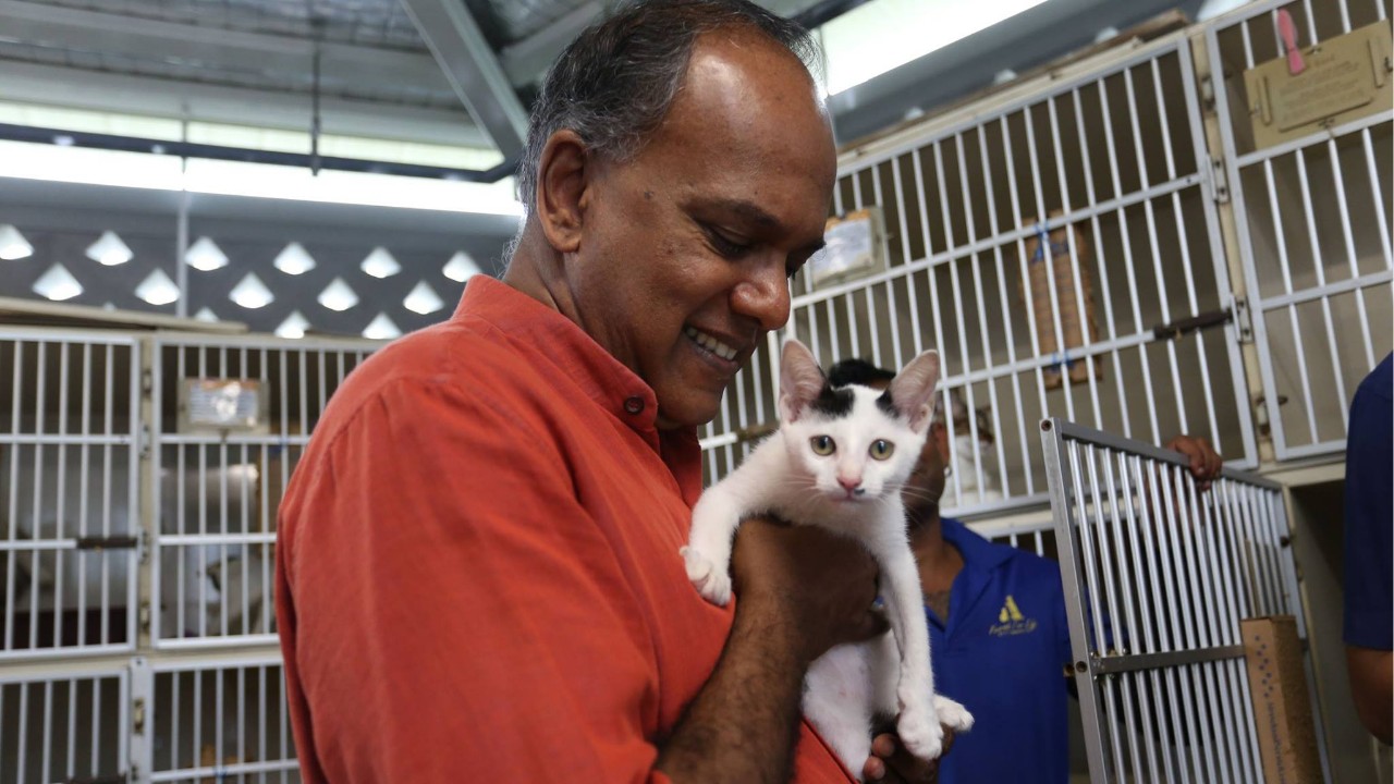 Singapore Takes 'Zero-Tolerance' Stance on Animal Cruelty, Focus on Deliberate Harm