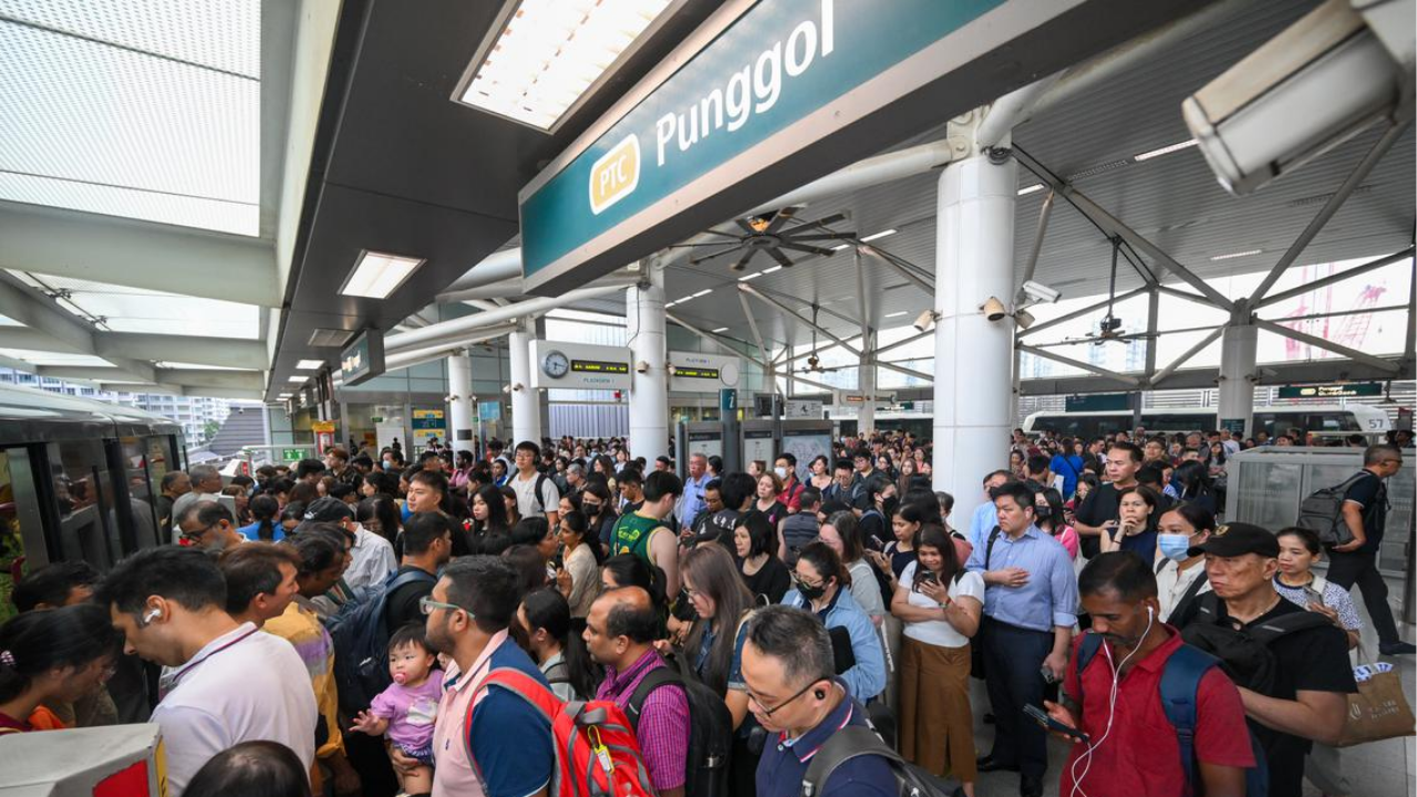 SBS Transit Provides Free Buses After Power Fault on Sengkang-Punggol LRT