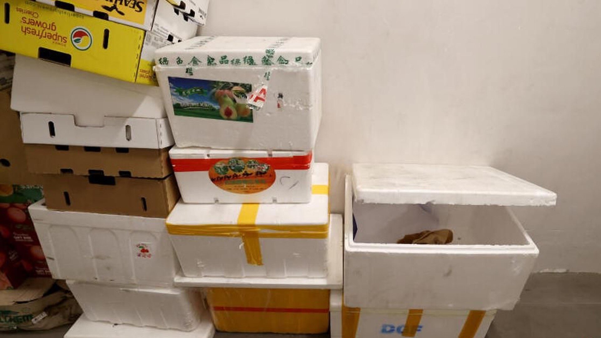 Sengkang HDB lift lobby turns into group buy collection point, residents complain of bloody water and stench