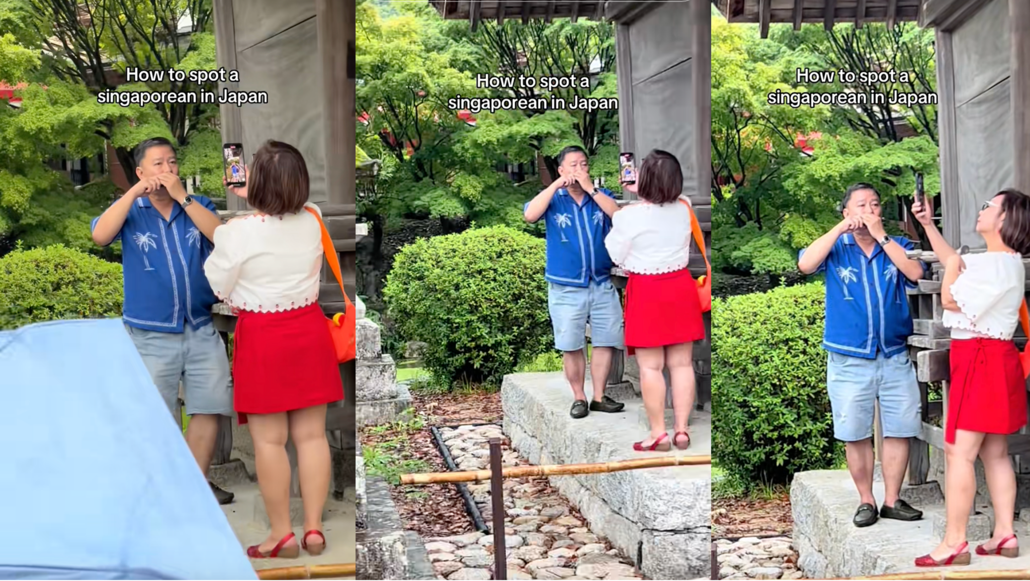 Singapore Lawyer Gains Unexpected Fame After Playing National Anthem on Harmonica in Japan