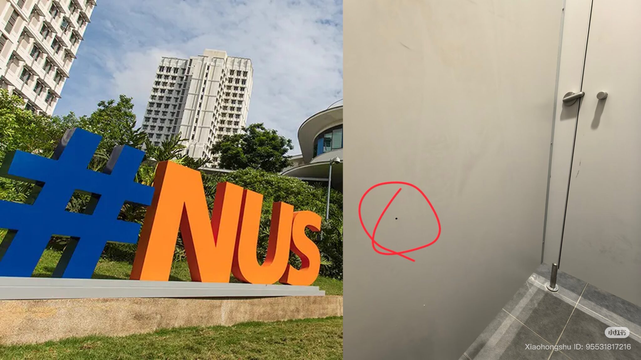 NUS student thought she saw pinhole camera in toilet, but school says it was just a screw and no suspicious device found