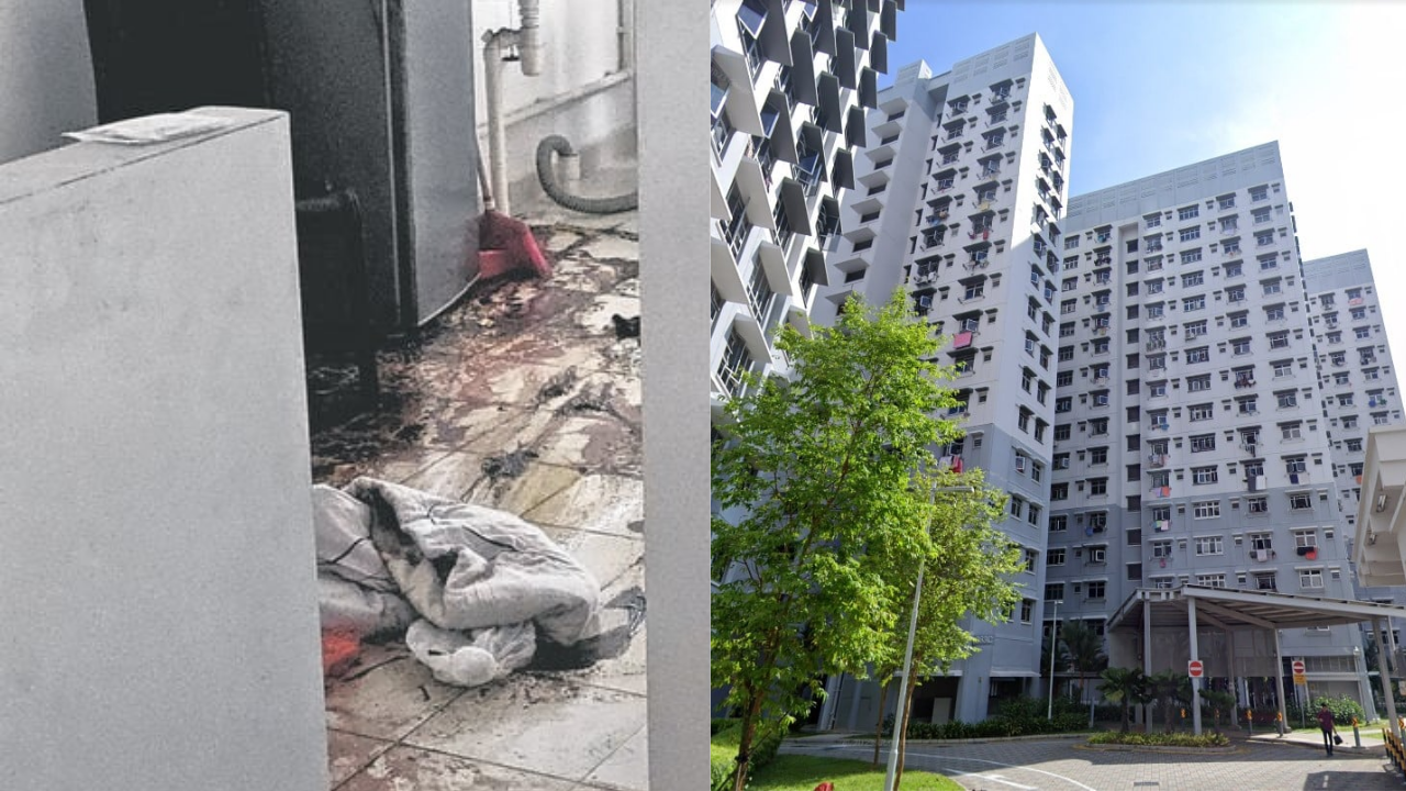 No Foul Play Suspected as Police Discover Dead Resident in Sembawang HDB Flat