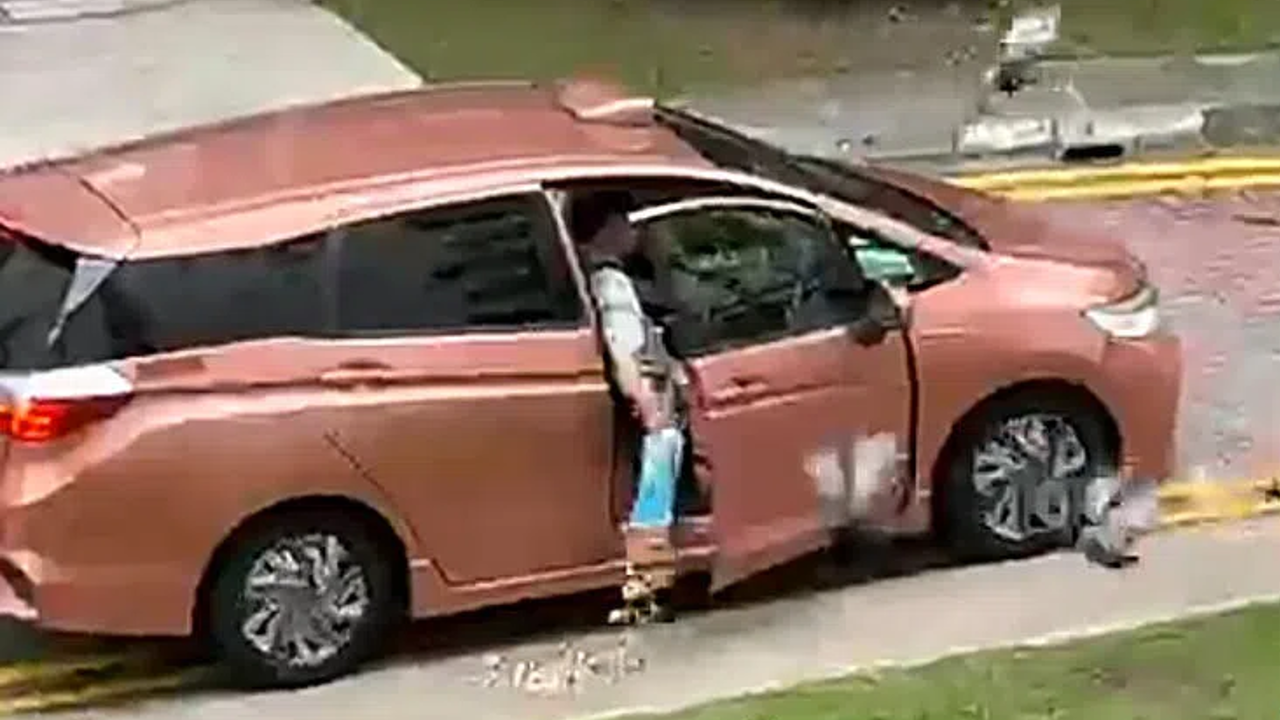 Taxi uncle caught feeding bread to pigeons at Lorong Lew Lian, residents complain about worsening bird nuisance