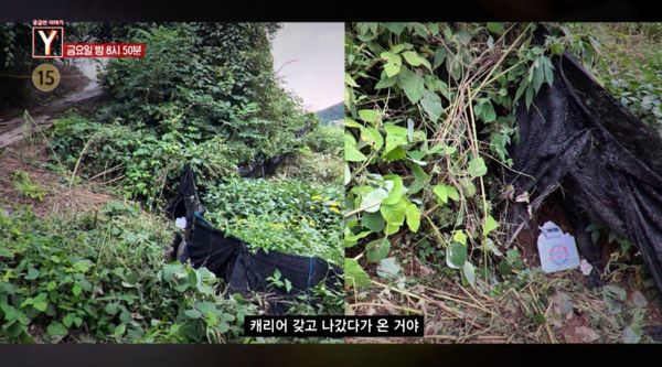 Final appearance of South Korean influencer with 300,000 followers revealed, culprit was a VIP fan.